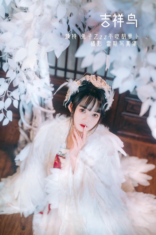 吉祥鸟 - 兔子zzz不吃胡萝卜