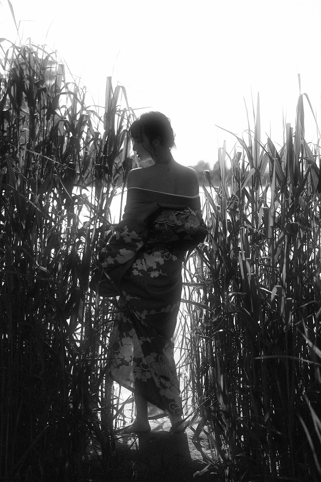 A-mu_ - NO.16 昙花 1